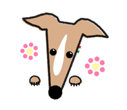 ITAGREMY : Face of Italian Greyhound. sticker #11597622