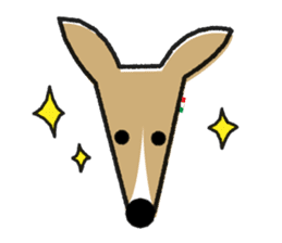 ITAGREMY : Face of Italian Greyhound. sticker #11597624