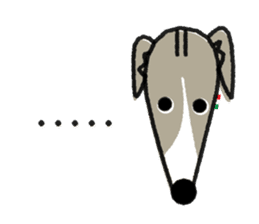 ITAGREMY : Face of Italian Greyhound. sticker #11597633