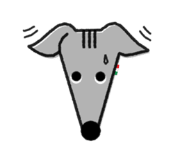 ITAGREMY : Face of Italian Greyhound. sticker #11597640