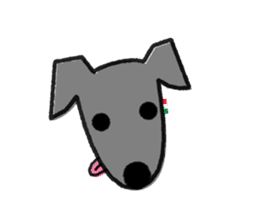 ITAGREMY : Face of Italian Greyhound. sticker #11597643