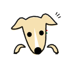 ITAGREMY : Face of Italian Greyhound. sticker #11597645
