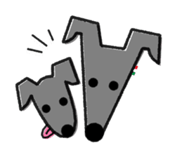 ITAGREMY : Face of Italian Greyhound. sticker #11597646