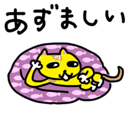 Yellow cat in Aomori sticker #11598561