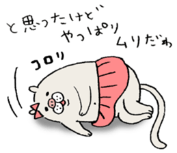 pig cat&me ver.4 sticker #11598655