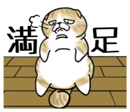 Cat three brothers sticker #11599088