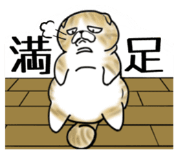 Cat three brothers sticker #11599088