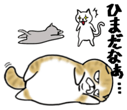 Cat three brothers sticker #11599089