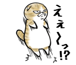 Cat three brothers sticker #11599091