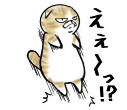 Cat three brothers sticker #11599091