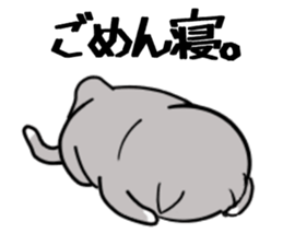 Cat three brothers sticker #11599094