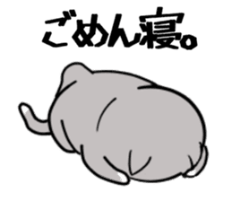 Cat three brothers sticker #11599094