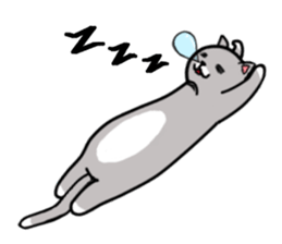 Cat three brothers sticker #11599095