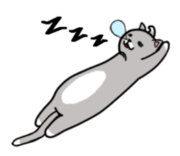 Cat three brothers sticker #11599095