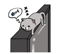 Cat three brothers sticker #11599096