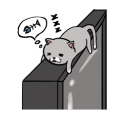 Cat three brothers sticker #11599096