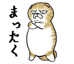 Cat three brothers sticker #11599097