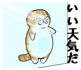 Cat three brothers sticker #11599098