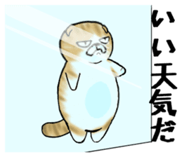 Cat three brothers sticker #11599098