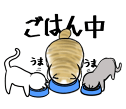 Cat three brothers sticker #11599100