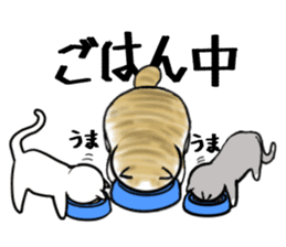 Cat three brothers sticker #11599100