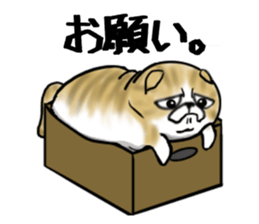 Cat three brothers sticker #11599102