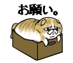 Cat three brothers sticker #11599102