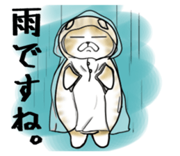 Cat three brothers sticker #11599105