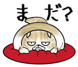 Cat three brothers sticker #11599106