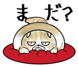 Cat three brothers sticker #11599106