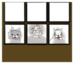 Cat three brothers sticker #11599116