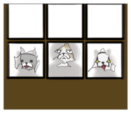 Cat three brothers sticker #11599116