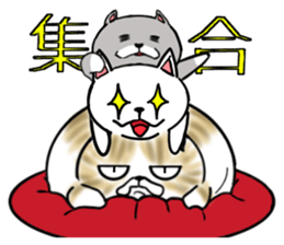 Cat three brothers sticker #11599118