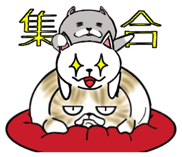 Cat three brothers sticker #11599118