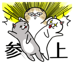 Cat three brothers sticker #11599120