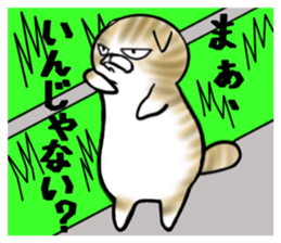 Cat three brothers sticker #11599123