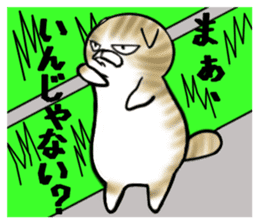 Cat three brothers sticker #11599123