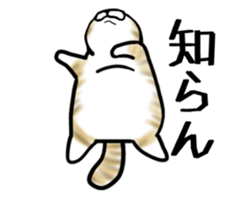 Cat three brothers sticker #11599127