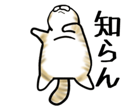 Cat three brothers sticker #11599127