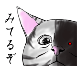 Hermit of Senkyoulife sticker #11601546