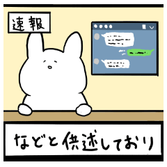 live freely rabbit and cat3.