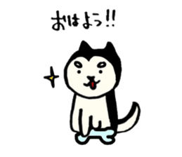 Kuroshiba Ai-chan sticker #11602423