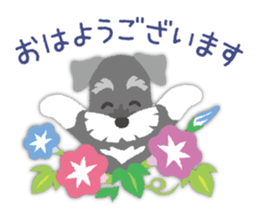 Tuna of Schnauzer 8 Summer sticker #11603809