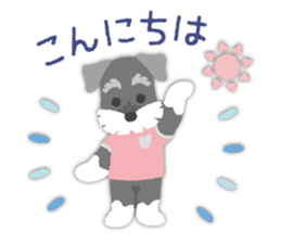 Tuna of Schnauzer 8 Summer sticker #11603812