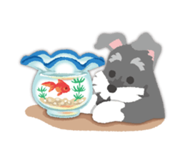 Tuna of Schnauzer 8 Summer sticker #11603822