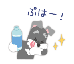 Tuna of Schnauzer 8 Summer sticker #11603826