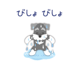 Tuna of Schnauzer 8 Summer sticker #11603827