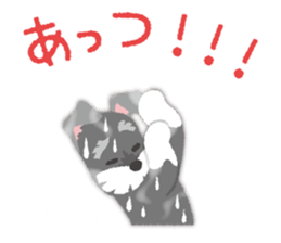 Tuna of Schnauzer 8 Summer sticker #11603830