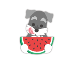 Tuna of Schnauzer 8 Summer sticker #11603836
