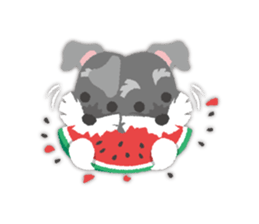 Tuna of Schnauzer 8 Summer sticker #11603837